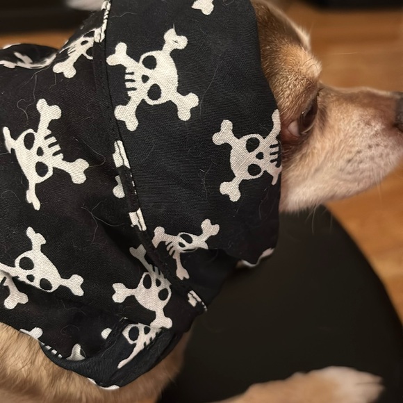 Skull Bandana for dogs or cats - Picture 2 of 3